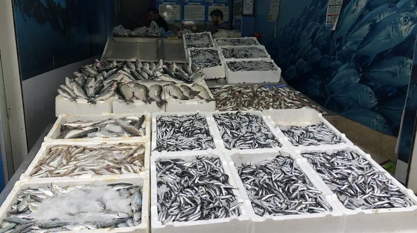 Bol hamsi tezgahları şenlendirdi