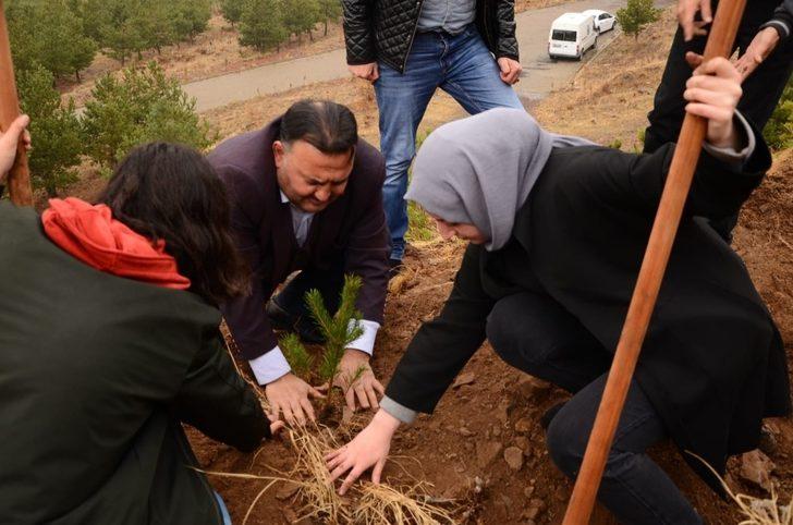 Cumhuriyetin 96. yılında 96 fidan toprakla buluştu G4