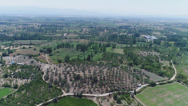 Balıkesir ile Çanakkale arasında yer alıyor! İlk izlere orada rastlandı G4