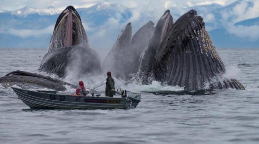 Anı yakalamak dedikleri bu olsa gerek!
