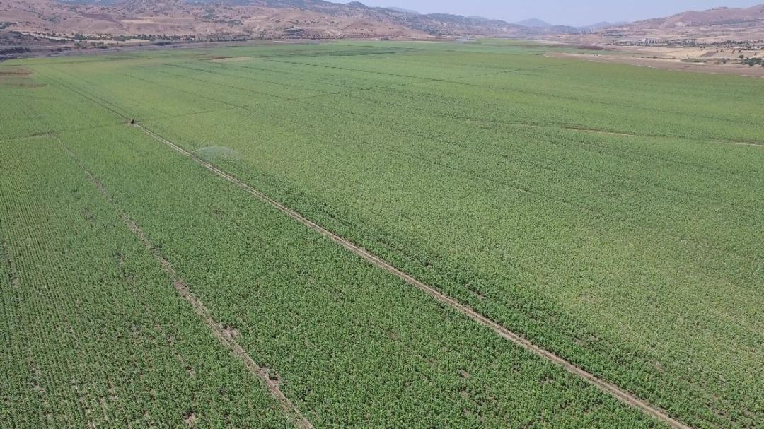 Tunceli&rsquo;de 5 bin 330 dekar tarım arazisi sulandı