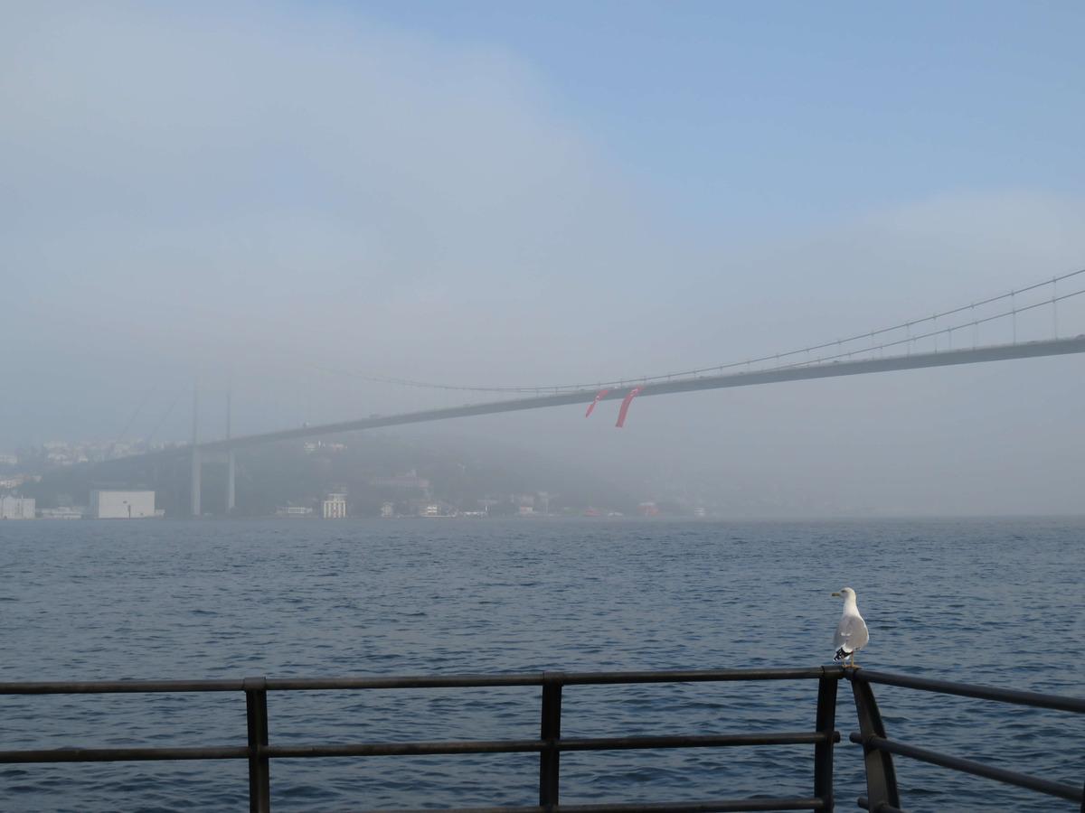 İstanbul Boğazı sis nedeniyle transit gemi ge&ccedil;işlerine kapatıldı