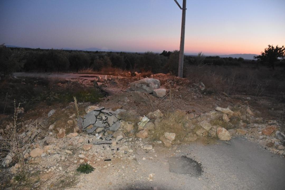 &rsquo;Tapulu arazim&rsquo; deyip asfaltın ortasına zeytin fidanı dikti