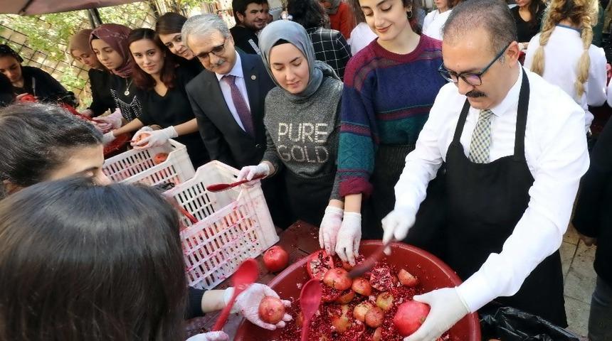 GA&Uuml;N Geleneksel Nar Festivali ger&ccedil;ekleştirildi