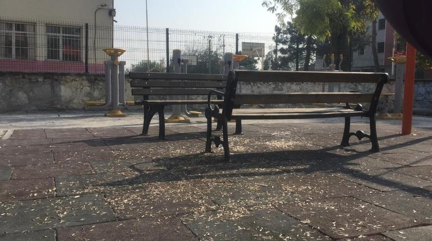 Parklardaki pislik ekipleri de şaşırtıyor