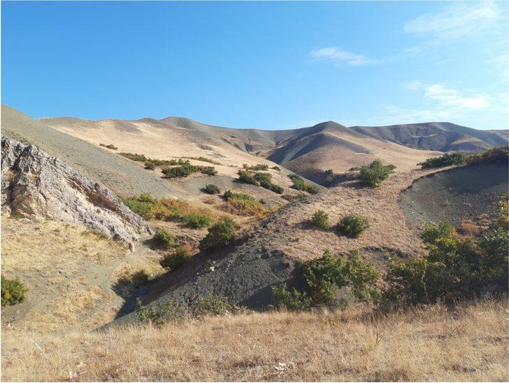 25 yıl sığınakta gizlenen cinayet zanlısı Medeni Sağın yakalandı G3