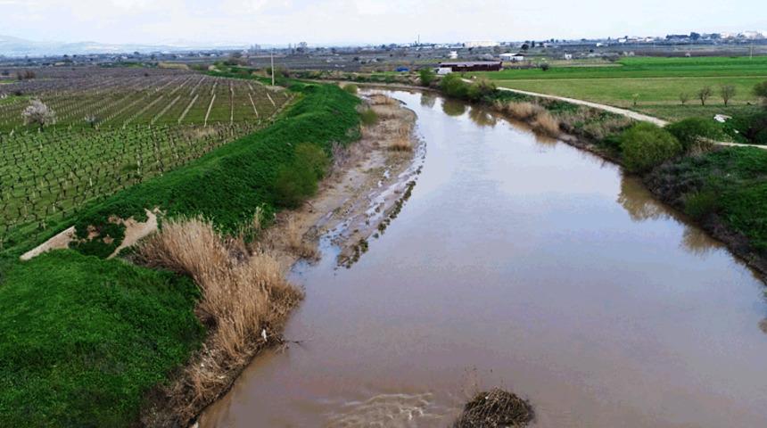 Gediz’den sofraya: Kirliliğin bedeli