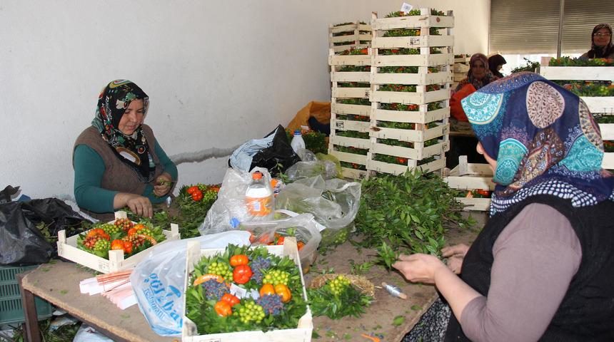 Avrupa'nın Noel çelengi Batı Akdeniz'den