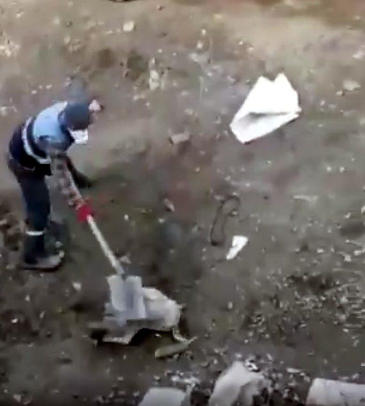 Köpeğe eziyet görüntüleri tepki çekmişti! Valilik harekete geçti G1