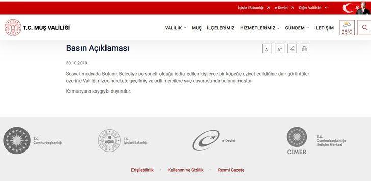 Köpeğe eziyet görüntüleri tepki çekmişti! Valilik harekete geçti G4