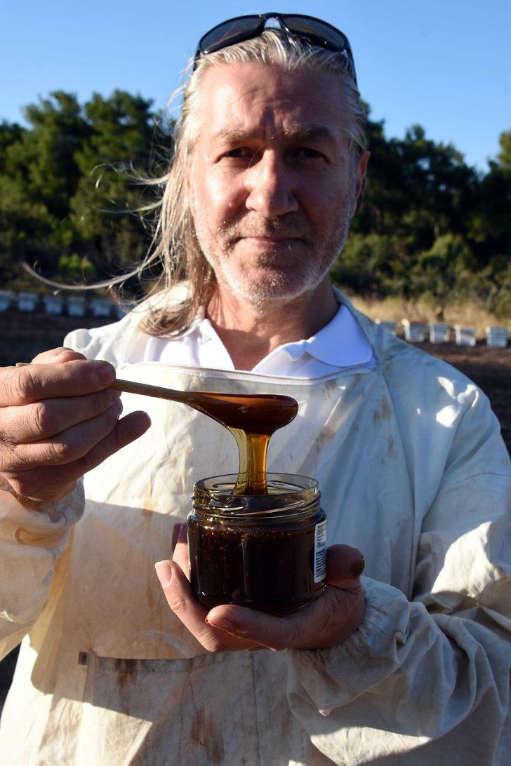 Siyah bal faydaları nelerdir? Kaz Dağları'nda üretilen 'mucize bal'ın sırrını anlattı G2