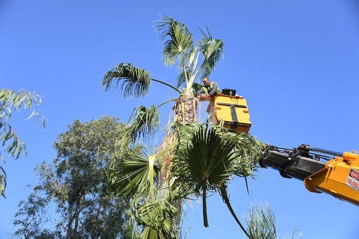 Parklar ve refüjlerde hummalı çalışma G1