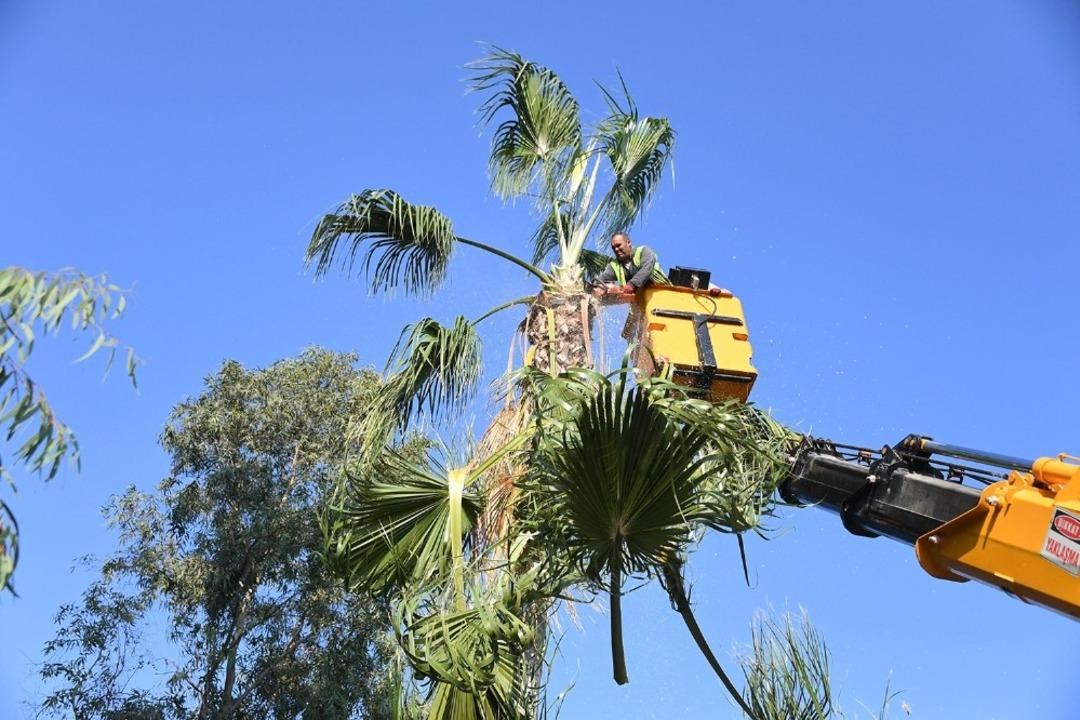 Parklar ve ref&uuml;jlerde hummalı &ccedil;alışma