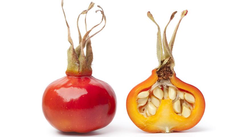 Kuşburnu faydaları saymakla bitmiyor