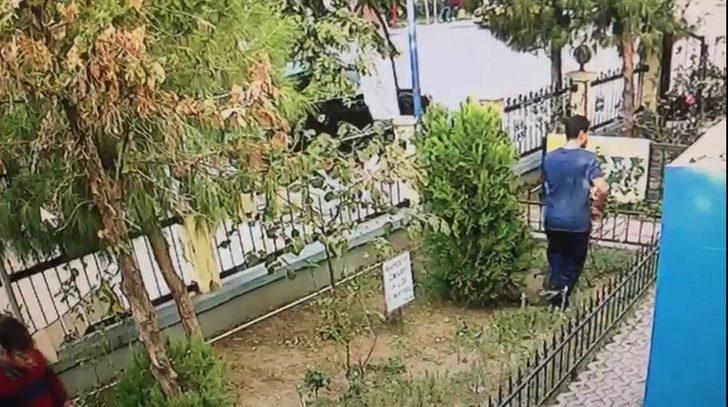 İzmir'de yavru kediyi tekmeleyerek öldüren kişi yakalandı G3