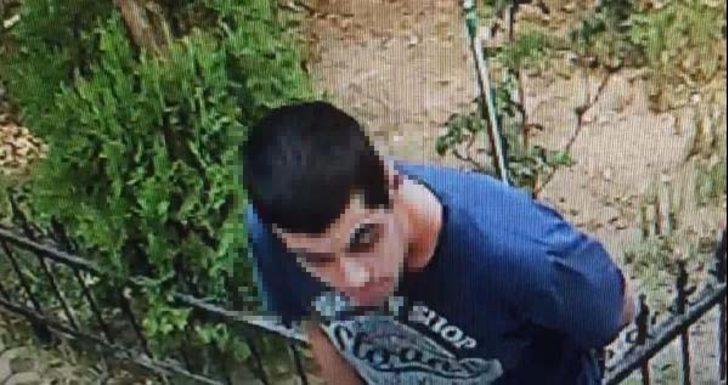 İzmir'de yavru kediyi tekmeleyerek öldüren kişi yakalandı G1