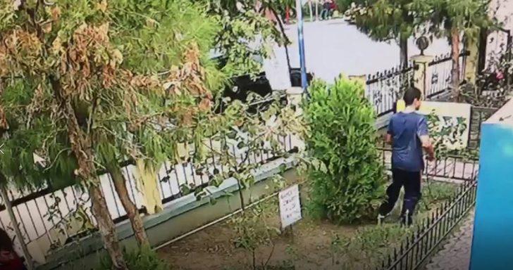 İzmir'de yavru kediyi tekmeleyerek öldüren kişi yakalandı G4