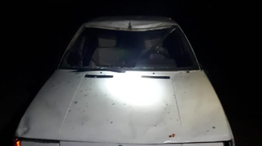 Ara&ccedil; ineğe &ccedil;arptı: 1 yaralı