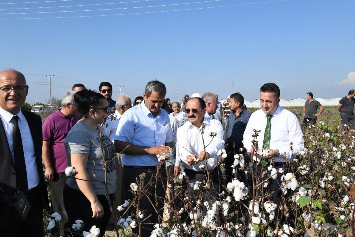 Aksu&rsquo;da damlalar pamukta buluştu