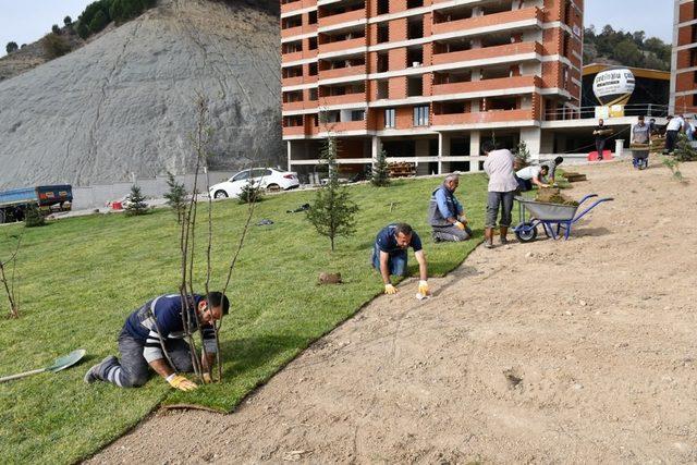 Karabük’te ağaçlandırma çalışması