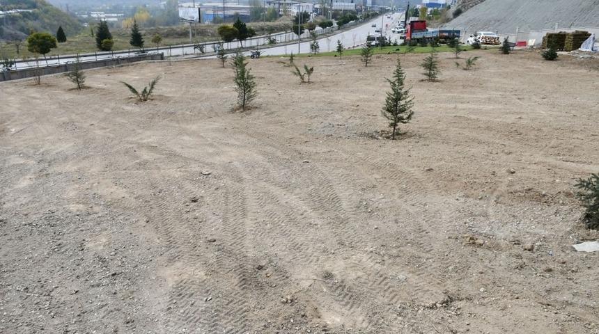 Karab&uuml;k&rsquo;te ağa&ccedil;landırma &ccedil;alışması