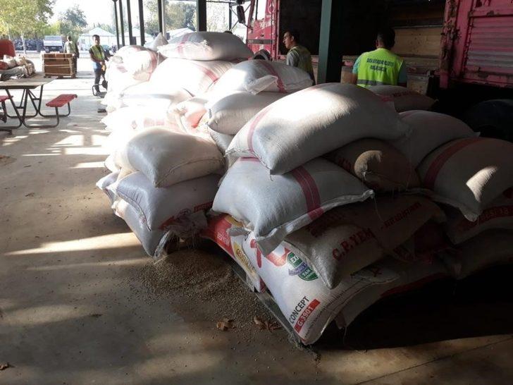 Buğdayın atası Bursa’da üretilecek G3