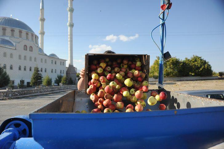 Elma pekmezi faydaları nelerdir? İşte elma pekmezi yapımı G3