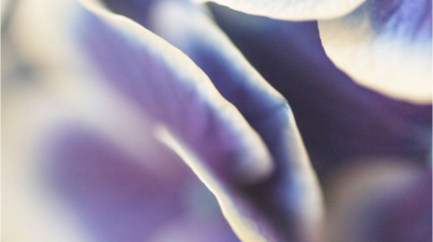 Başınız ağrıyor, cildiniz kuruyor ve gözleriniz yanıyorsa hemen ortanca satın alın 