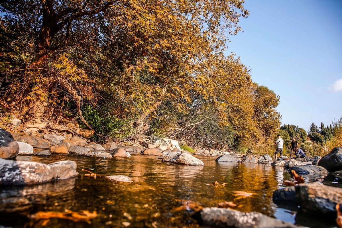 Asi Nehri sonbaharla renklendi