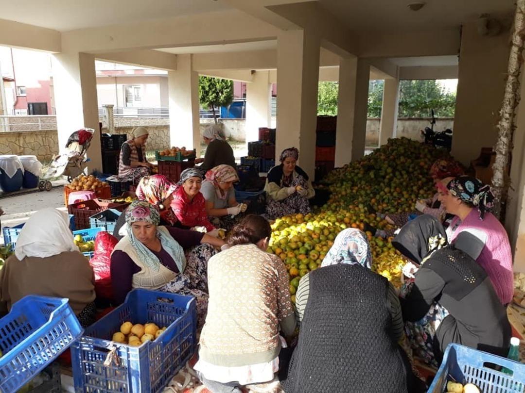 Denemek i&ccedil;in kuruttular, şimdi siparişlere yetişemiyorlar