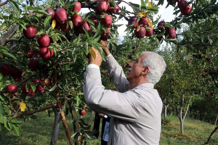 Meyveciliği hobiden ticarete dönüştürdü G3
