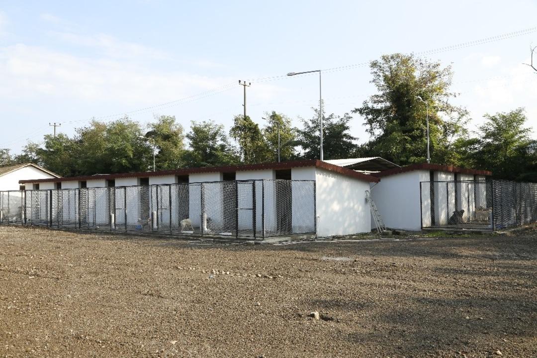 Hilmi G&uuml;ler&rsquo;den can dostlarına şefkat