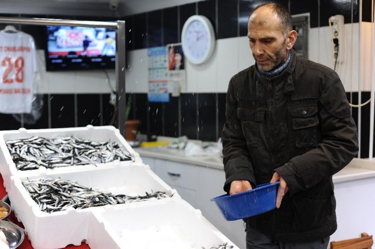 Balıkta işler tersine d&ouml;nd&uuml;: Palamut &uuml;zd&uuml;, hamsi g&uuml;ld&uuml;rd&uuml;