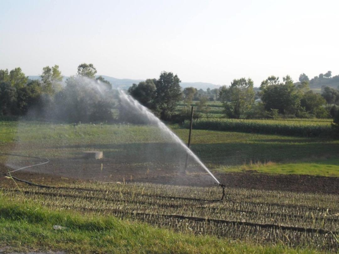 Kocaeli tarımından &uuml;lke ekonomisine 9 milyon 888 bin TL&rsquo;lik katkı