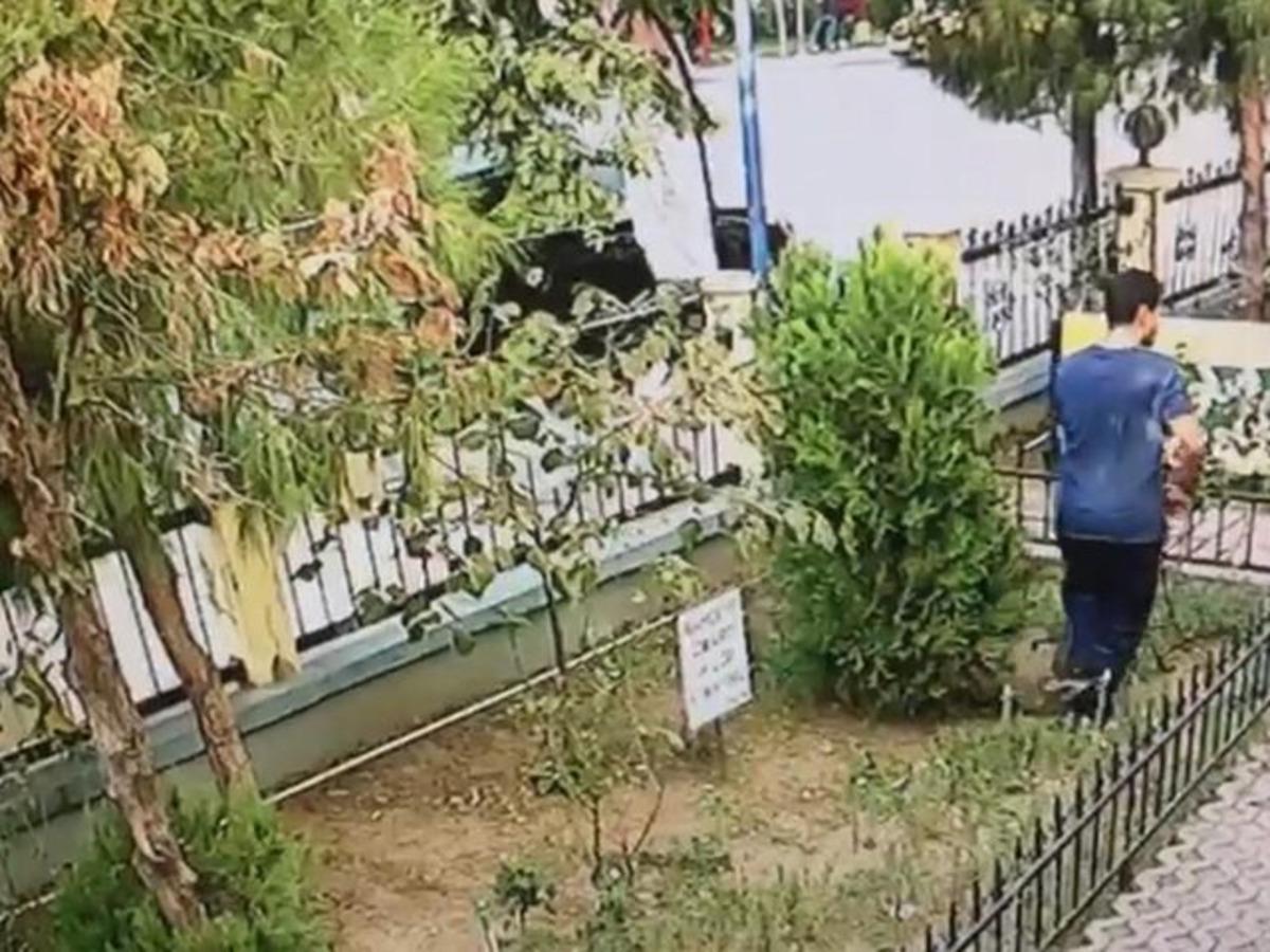 İzmir'de yavru kediyi tekmeleyerek &ouml;ld&uuml;ren kişi yakalandı