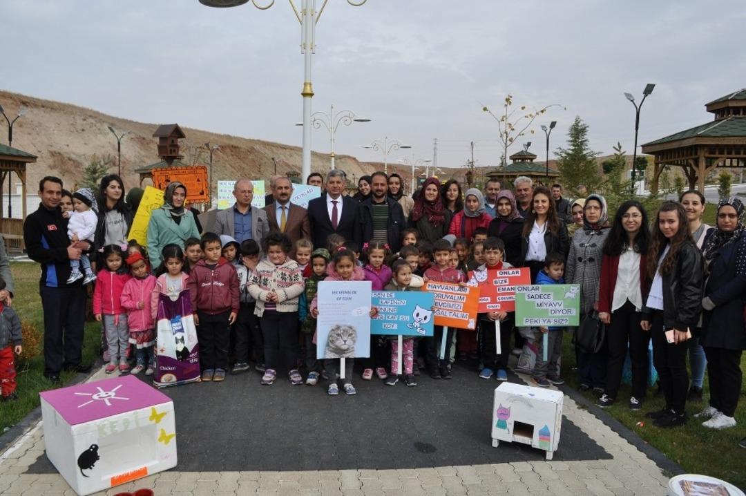 B&uuml;nyan&rsquo;da her kedinin bir evi olacak