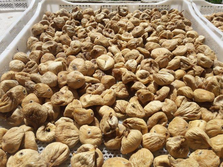 Kuru meyve sektöründen Cumhurbaşkanı Erdoğan’a TMO teşekkürü G3