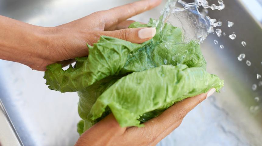 Yeşillikleri saklama noktasında hemen hemen hepimizin düştüğü 8 hata