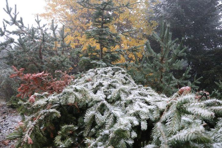 Bolu’ya mevsimin ilk karı düştü G5