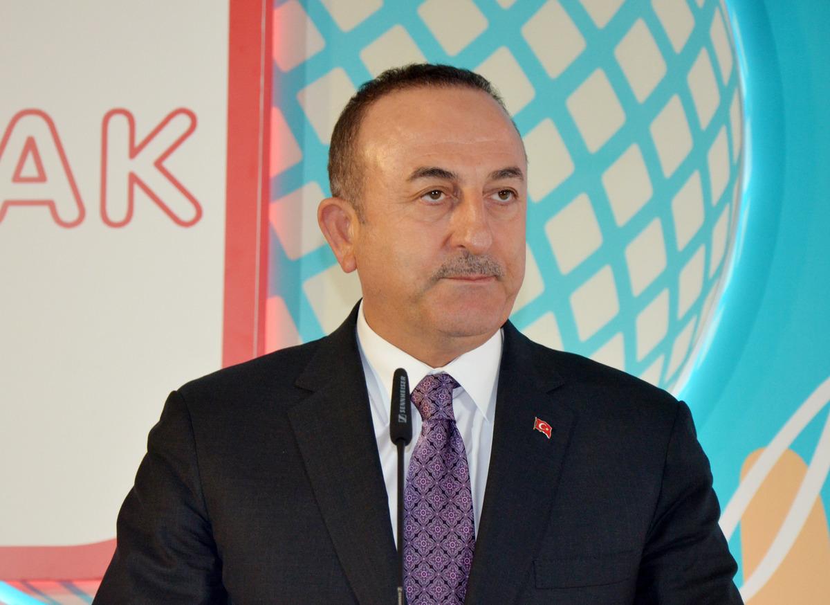 &Ccedil;avuşoğlu: PKK/YPG devleti kurmak istiyorlardı (2)