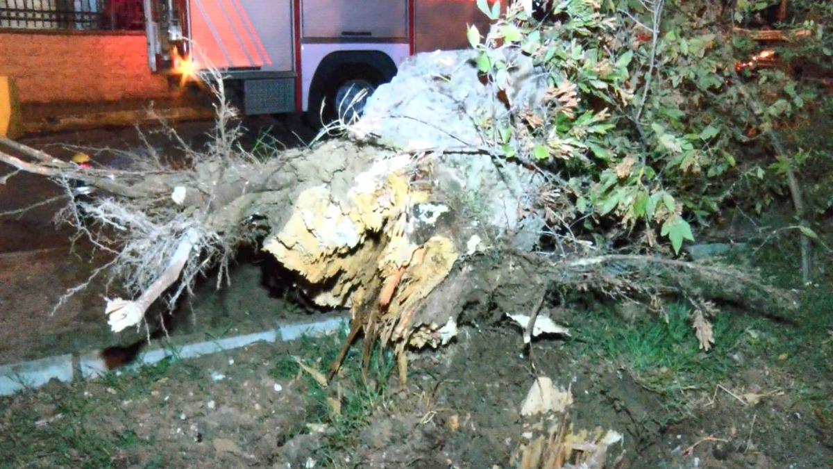 Bakırk&ouml;y'de ağa&ccedil; yola devrildi