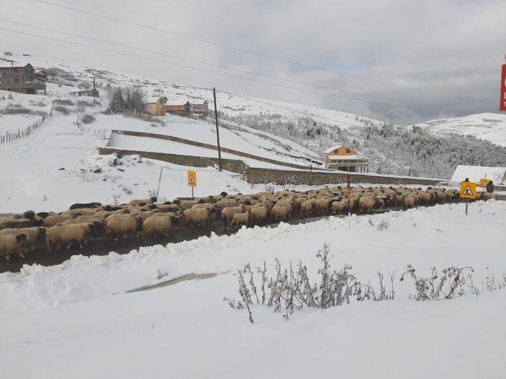 Ordu’ya mevsimin ilk karı yağdı G3