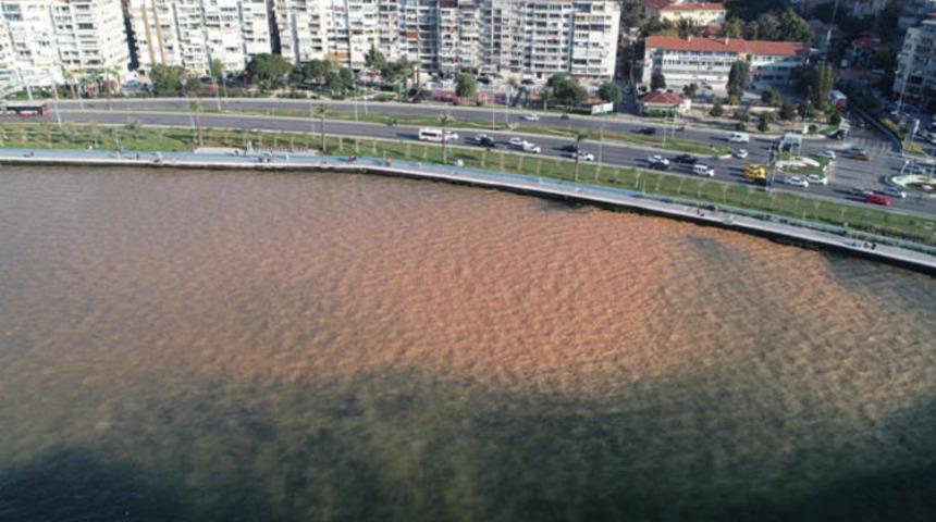 Şaşırtan görüntü! İzmir Körfezi bu hale geldi