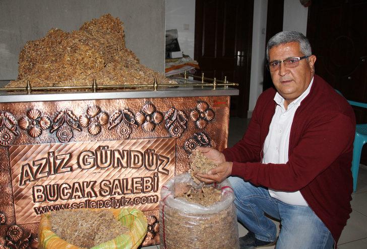 Cumhurbaşkanı Recep Tayyip Erdoğan gazetecilere ikram etmişti! Bucak salebinin kilosu, 700 liraya ulaştı G1