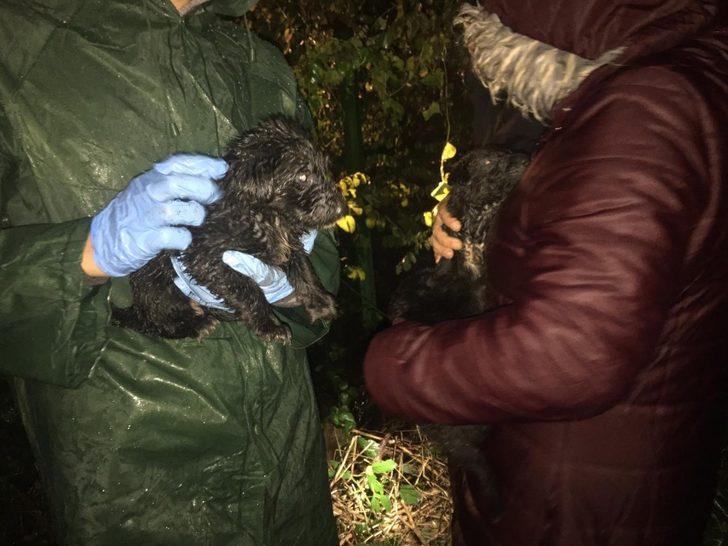 Ordu’nun pati dostları G2