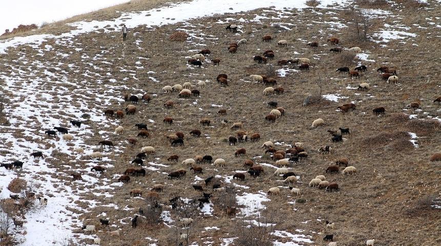 Besiciler kış &ccedil;ilesi başladı