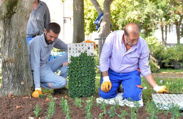 Muratpaşa’da kış hazırlığı