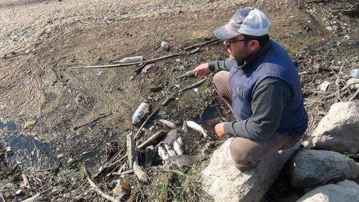 Bursa Valiliği'nden balık ölümlerine ilişkin açıklama G3