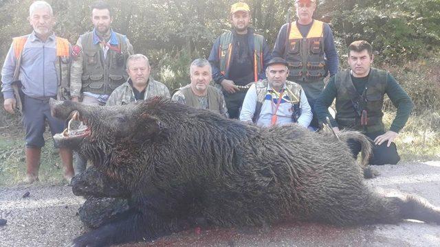 Avladıkları 400 kiloluk domuz ile hatıra fotoğrafı çektirdiler