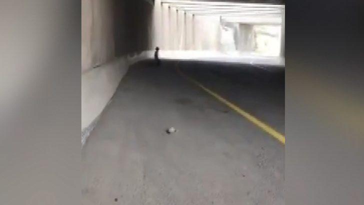 Skandal görüntüler! İsrail kanalı: Askerler Filistinli gence eğlence için ateş ettiler G3